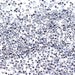 Estella Enchanted Metallic Silver - Bluestreak Crystals